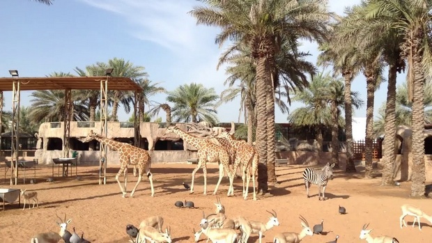 حديقة حيوانات دبي