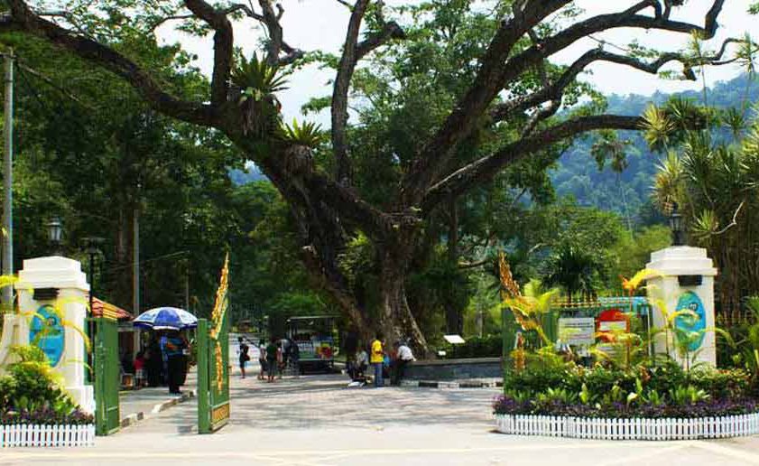 حدائق بينانج النباتية