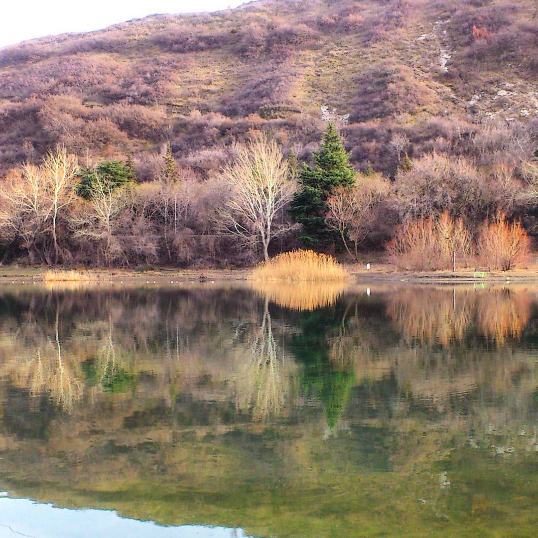 بحيرة السلاحف في تبليسي
