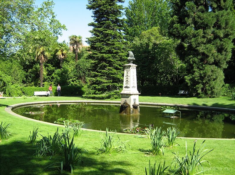 الحديقة النباتية الملكية مدريد