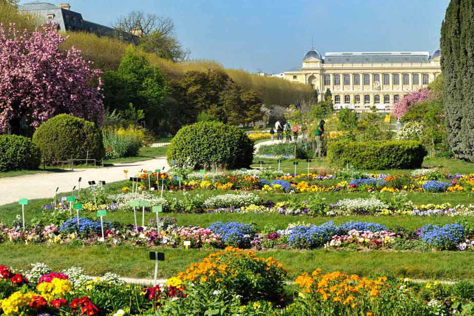 حديقة النباتات في باريس