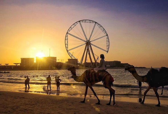 شواطئ دبي