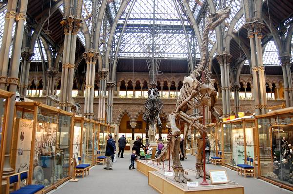 متحف اكسفورد للتاريخ الطبيعي